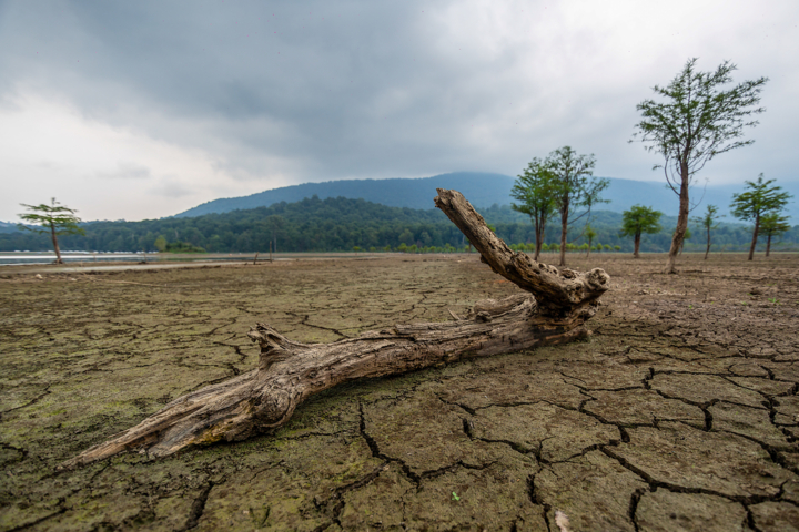 مازندران در مسیر خشکسالی/ بارش باران ۶۹ درصد کاهش یافت