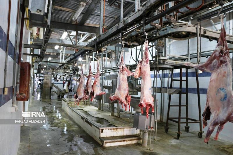 پرونده کشتارگاه دام نوشهر روی میز دستگاه قضا