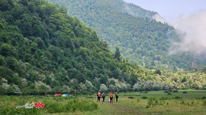 تهدید دریاسر با گردشگران بیمسئولیت!