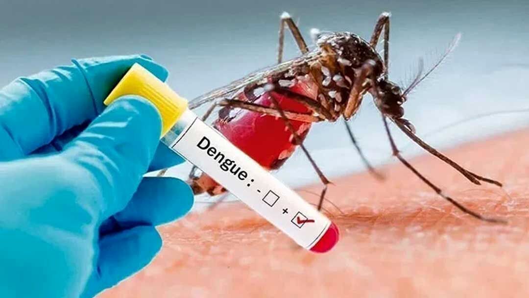 لاستیک‌های کنار جاده بستری برای جولان «پشه آئدس»